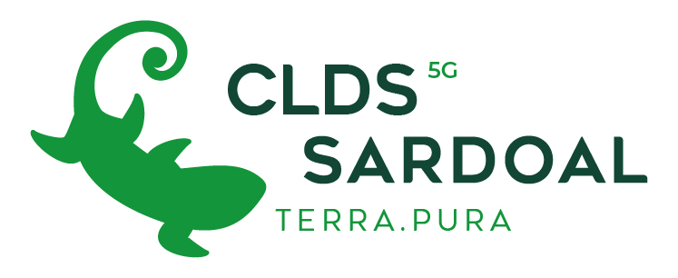 CLDS 5G
